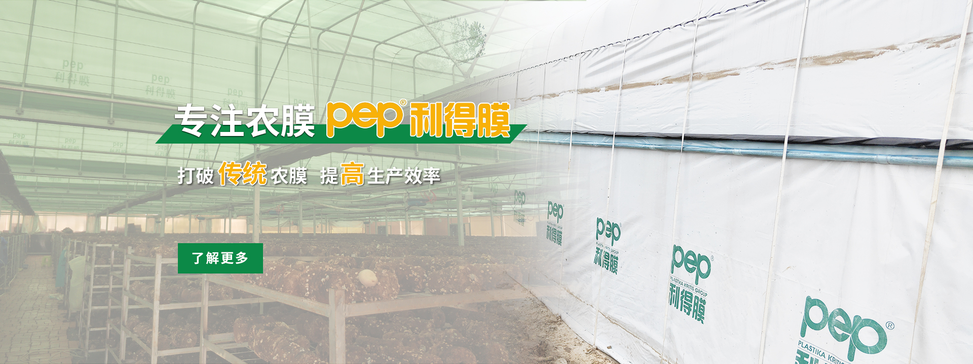 綠白膜、pep利得膜